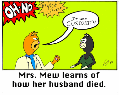 Curiosity Killed The Cat