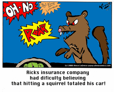 Squirrel