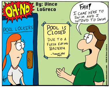 Bacteria