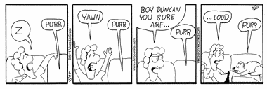 Purr